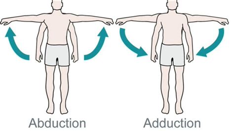 what is abduction anatomy|Abduction .